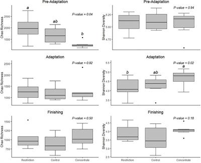 Ruminal Fermentation Pattern, Bacterial Community Composition, and Nutrient Digestibility of Nellore Cattle Submitted to Either Nutritional Restriction or Intake of Concentrate Feedstuffs Prior to Adaptation Period